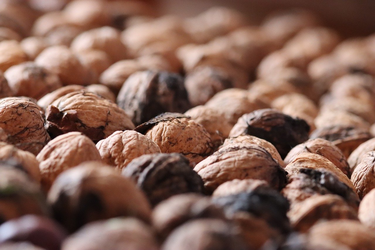 武魂2:优游娱乐代理怎么注册