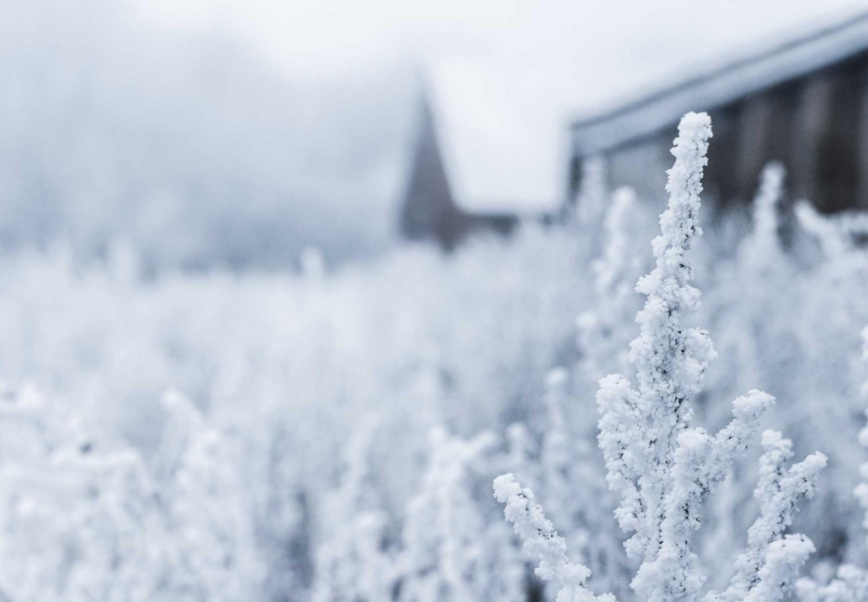 DDOS平台|黄金开户投资平台