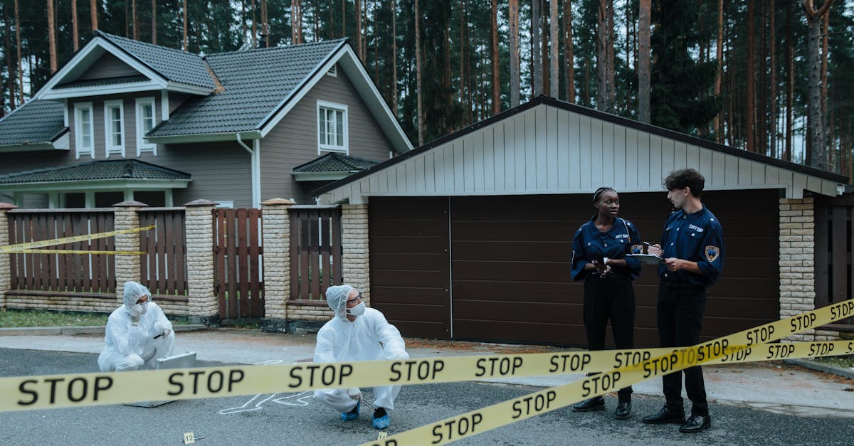 铁塔猫红酒爆珠(粗):苏州儿童餐椅代理平台