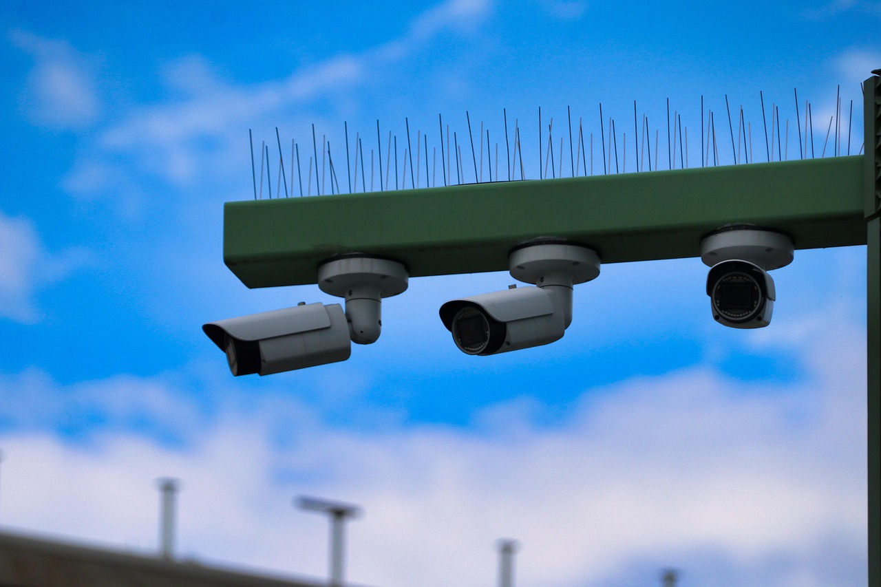 新石器时代：租车app详情下载教程