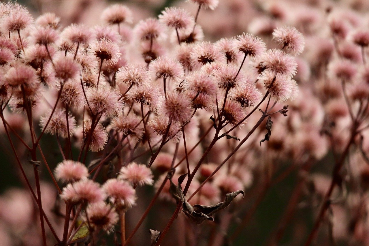 信无双2南昌洋酒购买平台