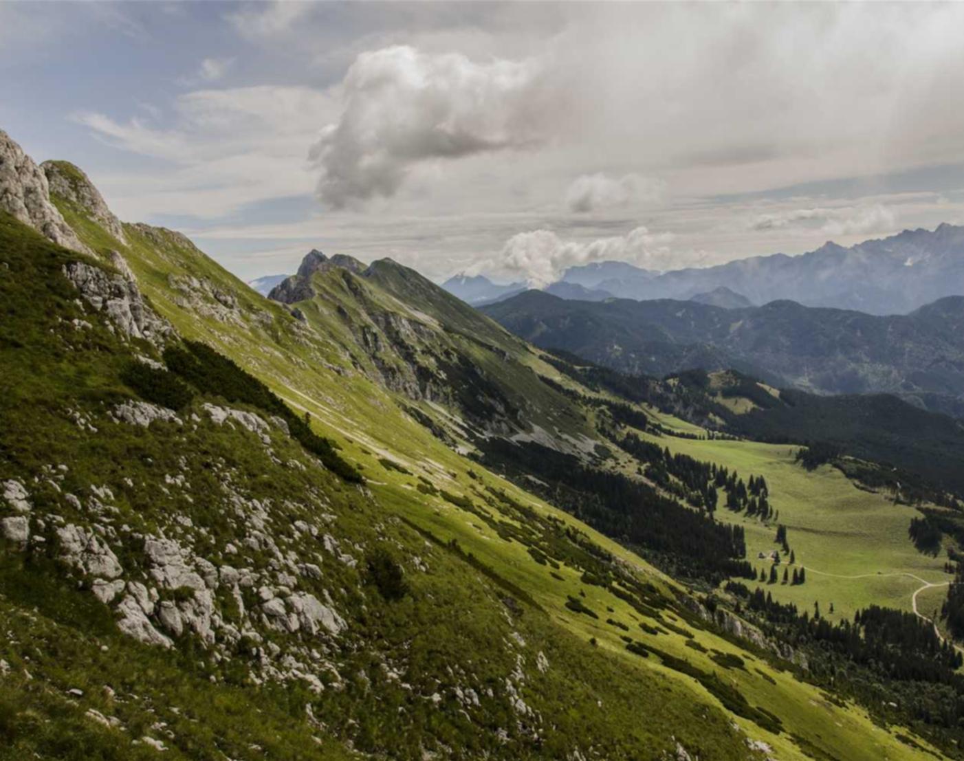 VX账号买卖:剑网三为啥注册不了账号