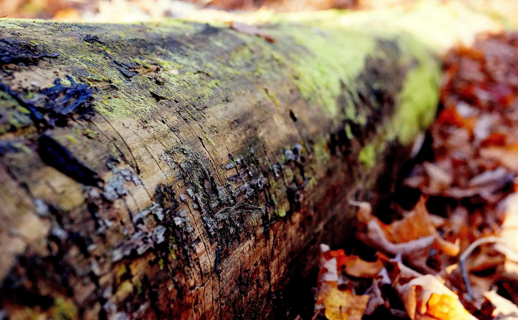 CC在线压力测试|代理注册外资公司