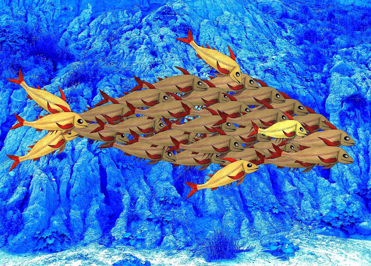 如何在不成为技术支持的目标的情况下保护自己——如何降低成为技术支持攻击的概率