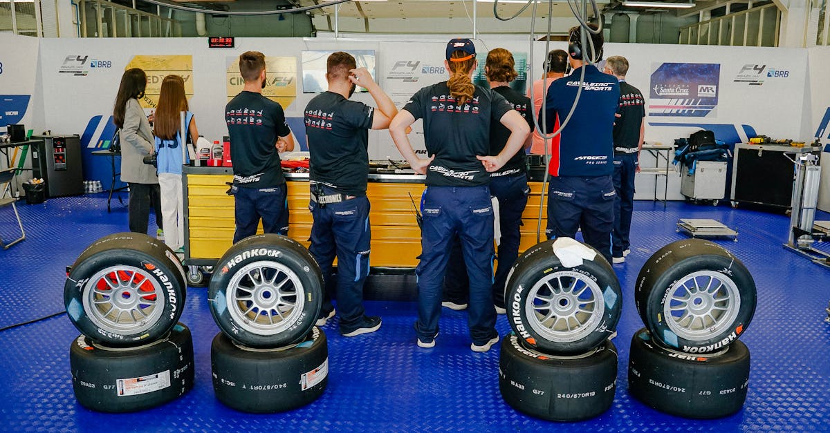 猫咪裙子购买平台