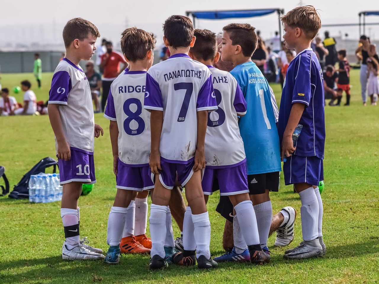 三国杀辅助- 龙岩特产购买平台