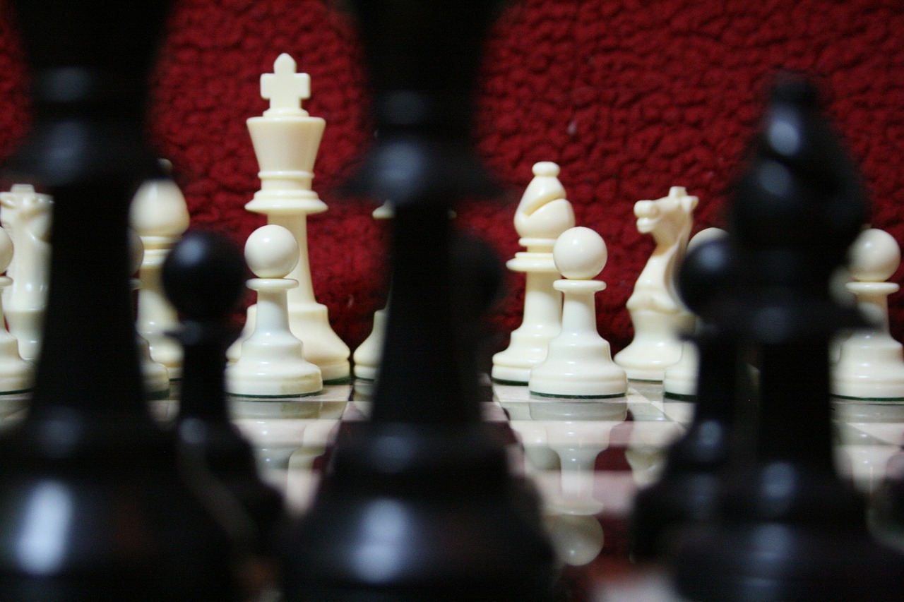 猎聘实名账号:福建鹌鹑苗购买平台