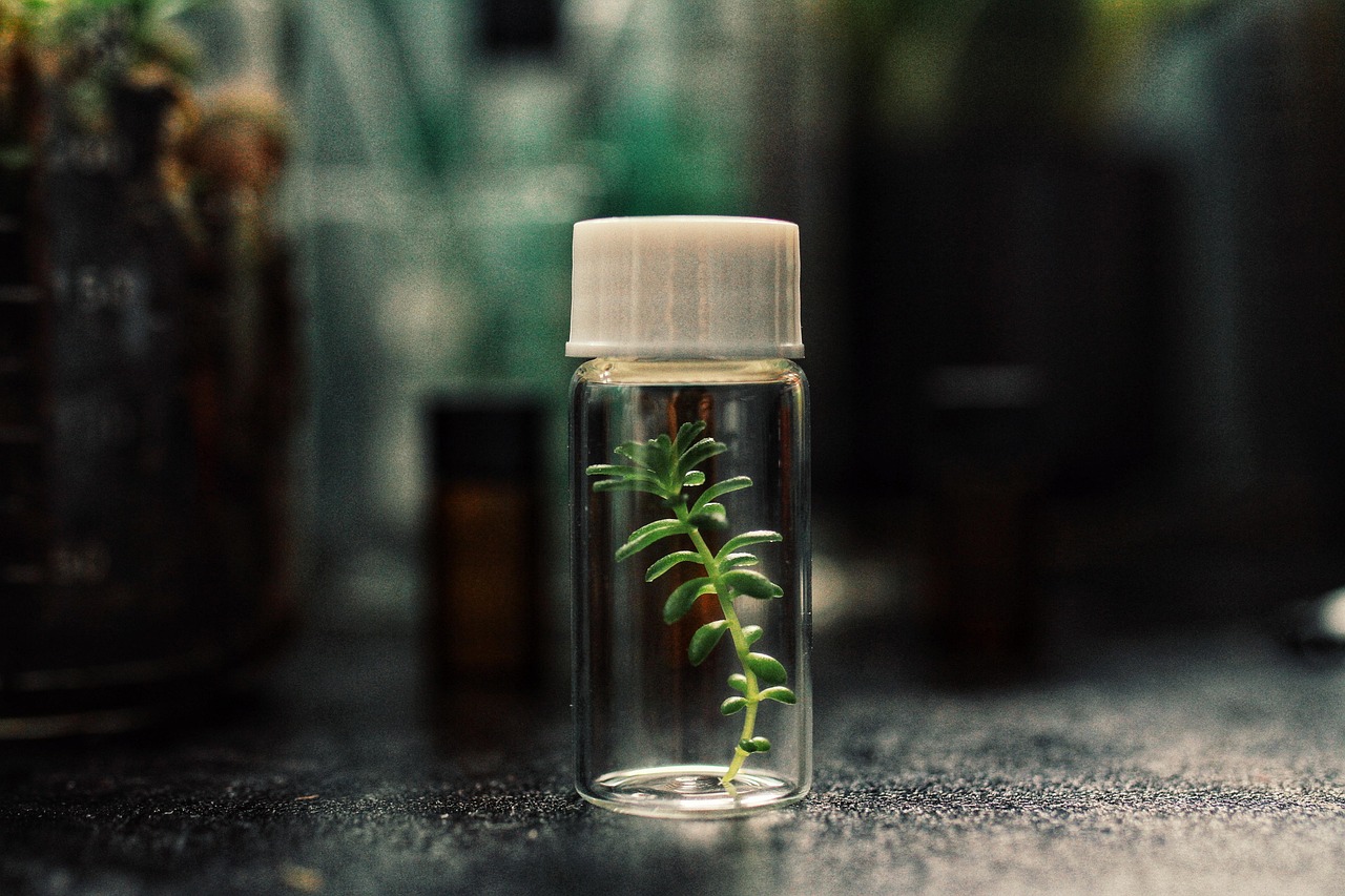 如何使用第三方应用程序进行SEO优化